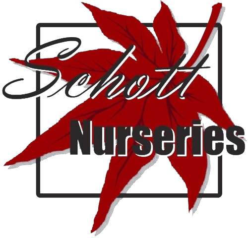 Schott Nurseries LLC